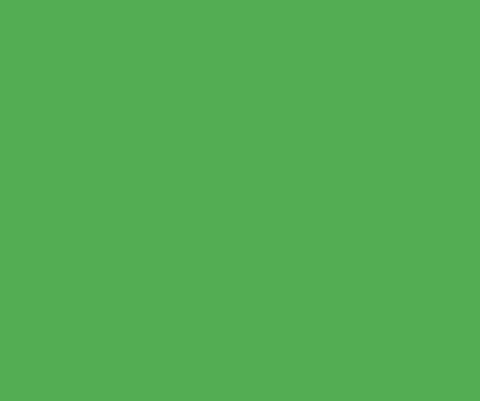 Lastolite 9073 2,72X11M. Paper Chromakey Green